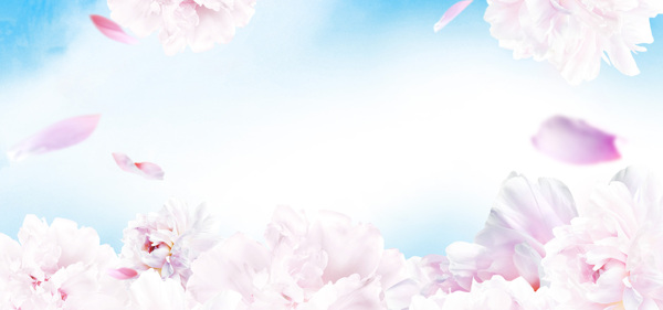 清新粉色花朵淘寶全屏banner背景