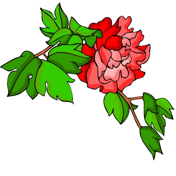花卉古典插畫