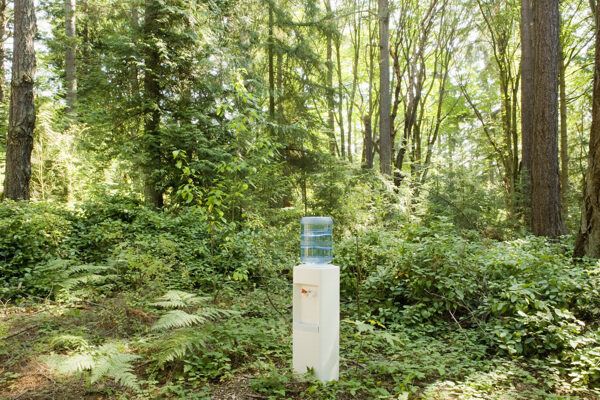 树林里的饮水机图片