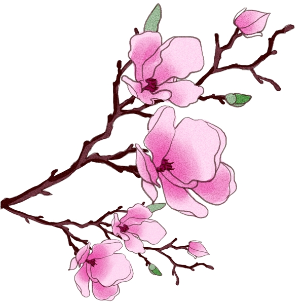 花鮮花原創(chuàng)商用元素
