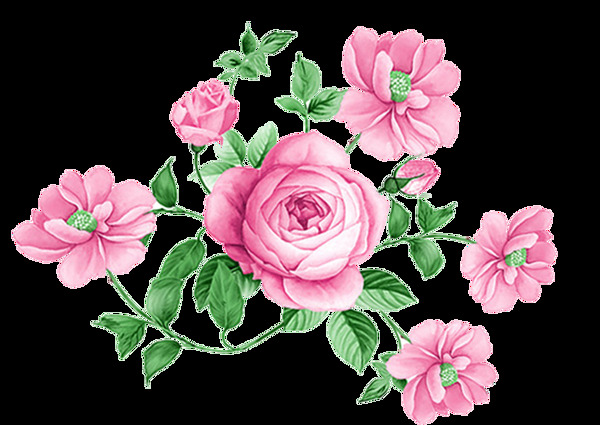 玫瑰花