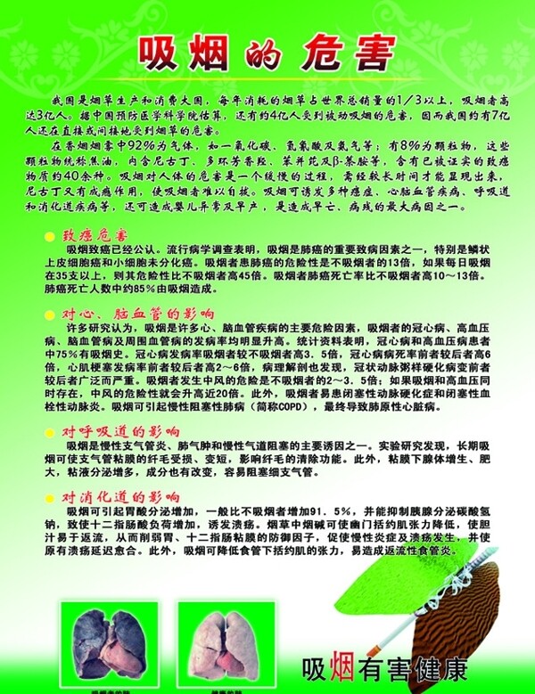 吸煙的危害圖片