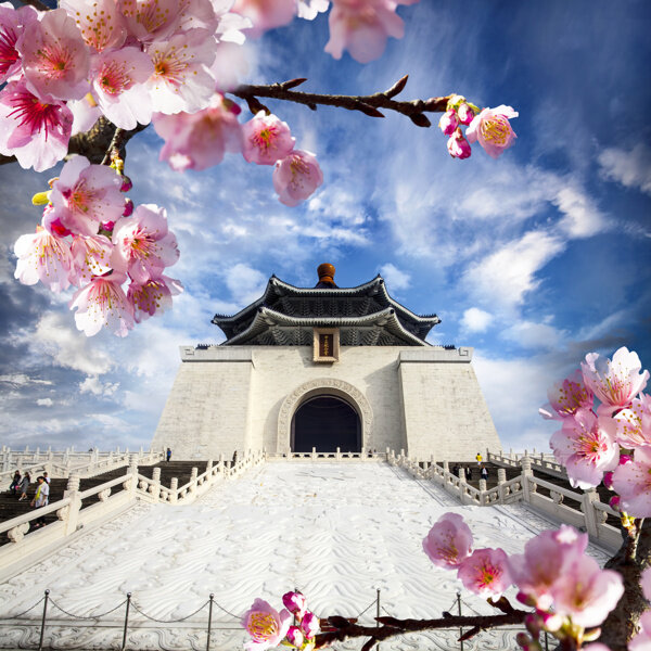 台湾樱花风景图片