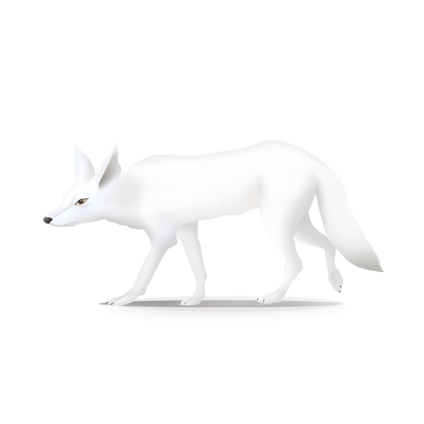 可商用高清手绘动物小白狐