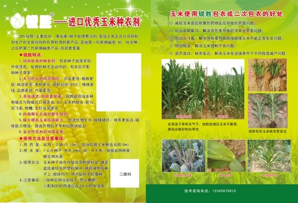 玉米宣傳頁圖片