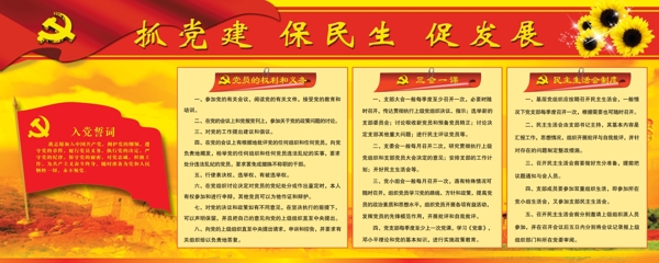 抓黨建保民生促發(fā)展圖片
