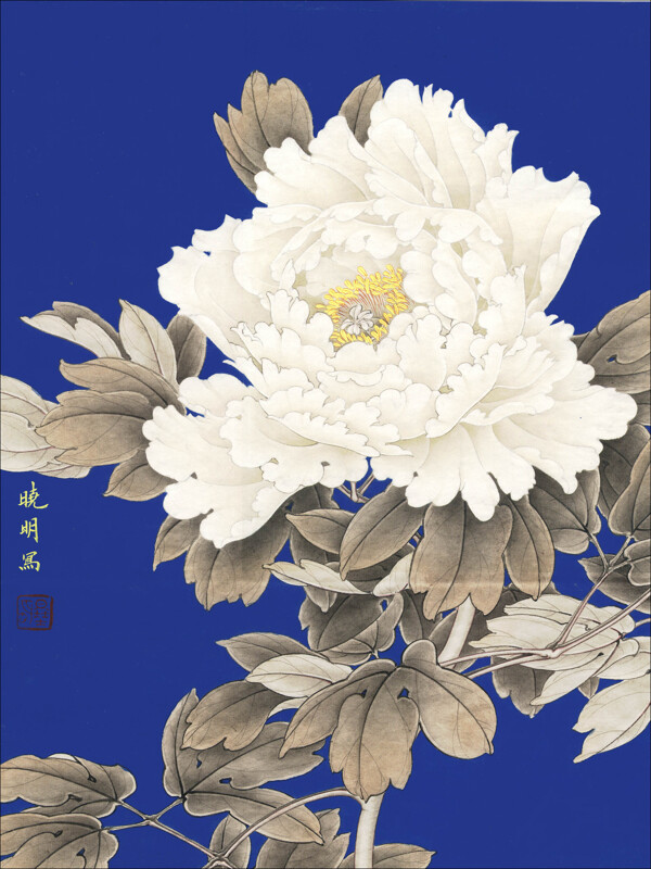 無暇