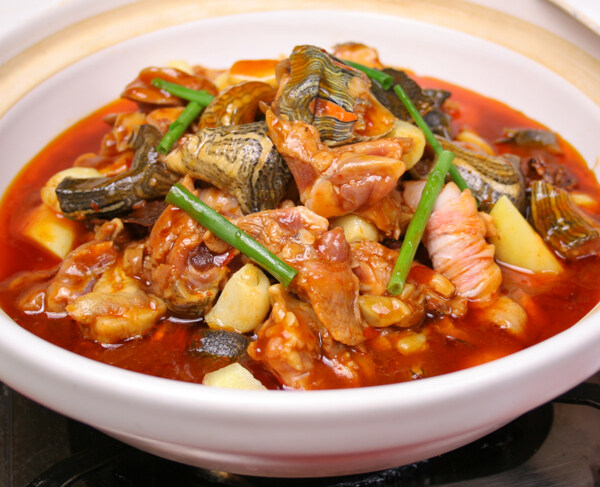烏龜肉