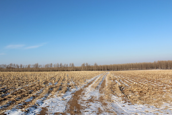 北方冬天的田野图片