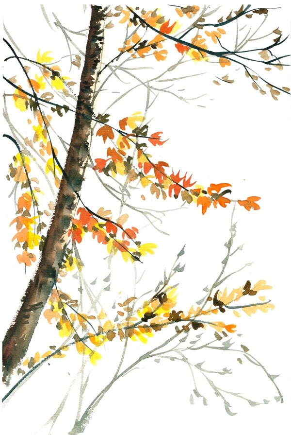 秋天的树水彩画PNG免抠素材