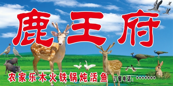 野味大全圖片