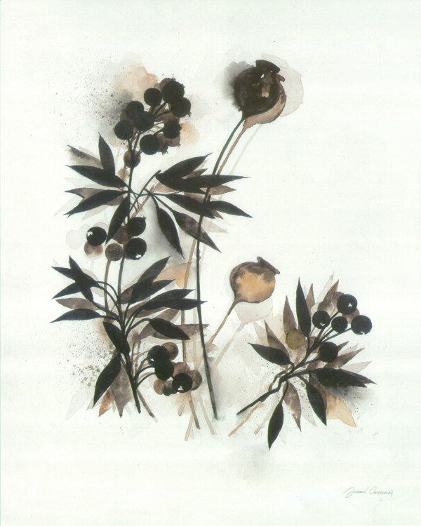 清新植物壁画