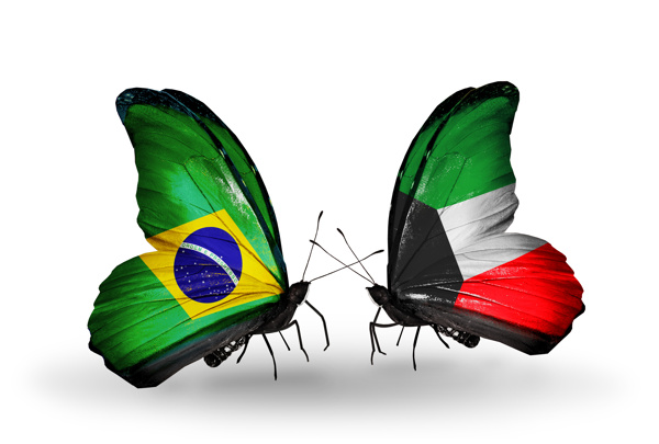 巴西与科威特蝴蝶国旗图片