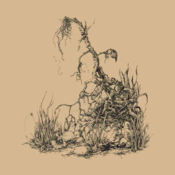 位圖插畫植物插畫插畫師Socar免費(fèi)素材