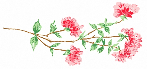 位圖成熟優(yōu)雅女裝T恤圖案毛衫印花優(yōu)雅植物免費素材