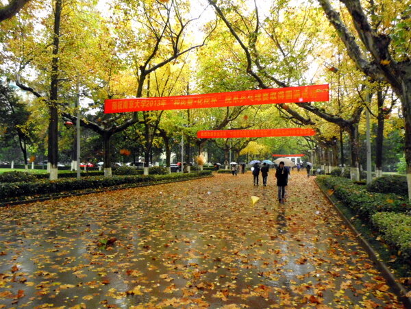 南京大学中央大道图片
