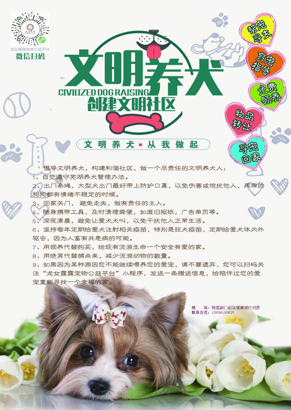 文明養(yǎng)犬