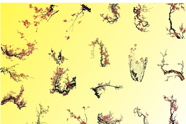 梅花生物世界圖片
