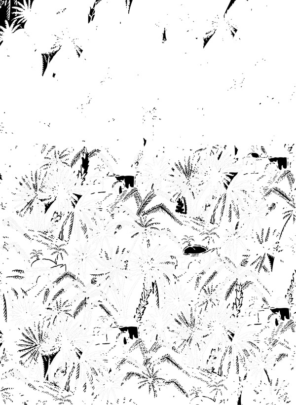 花紋圖片