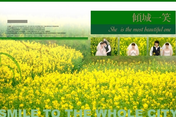 午后陽光婚紗模板
