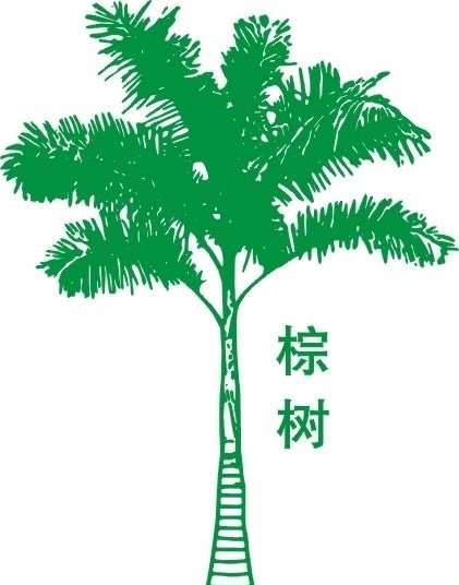 棕樹圖片
