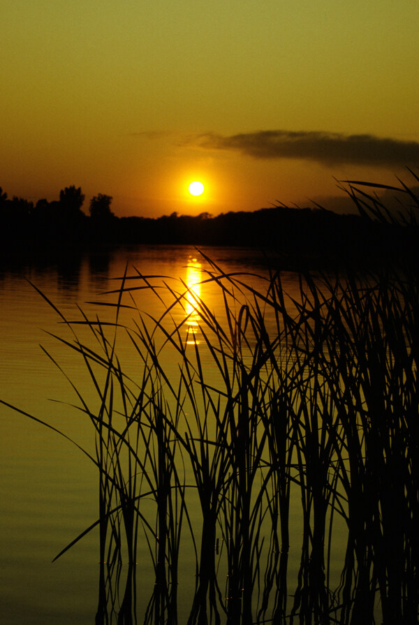 黄昏时的湖泊美景图片