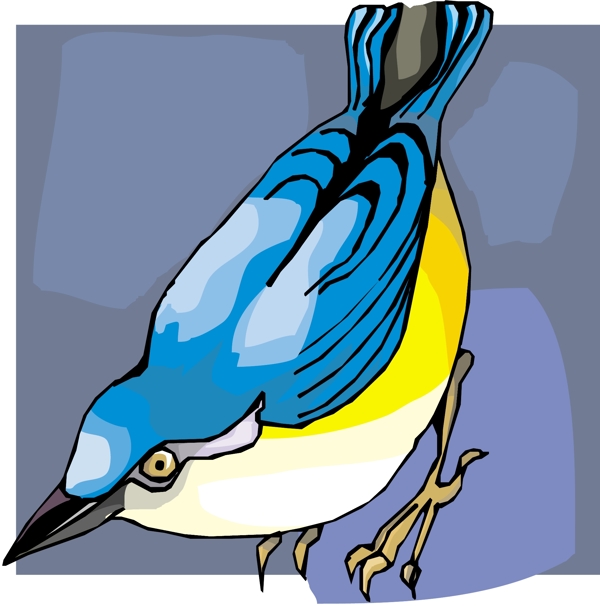 各種鳥類鳥動(dòng)物矢量素材EPS格式0262