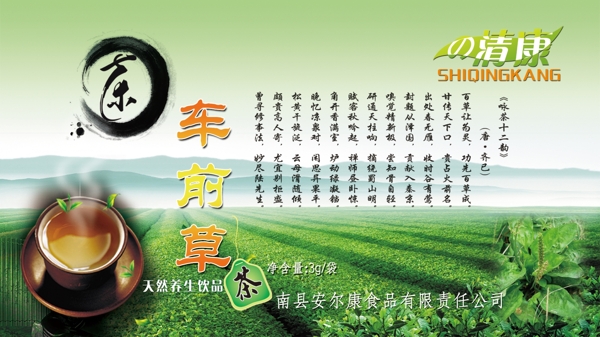 茶决明子天然养生饮品绿色图片