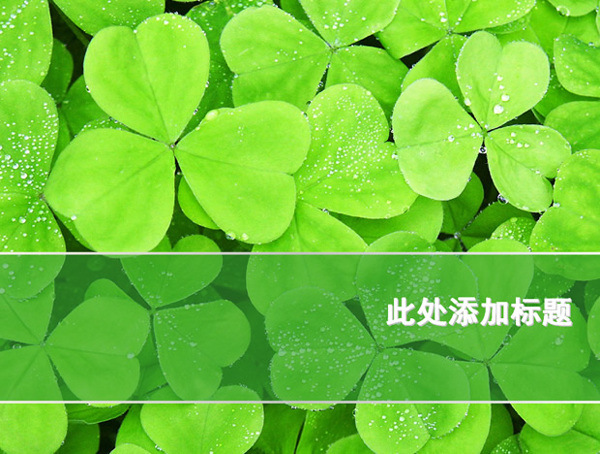 三葉草PPT模板