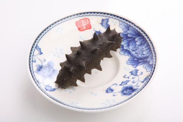 海參圖片