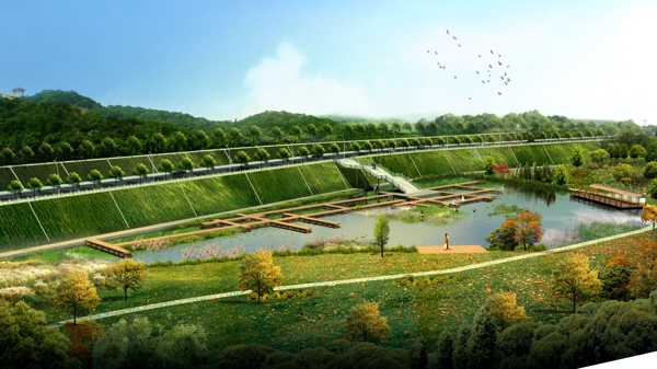 河道景观湿地设计图片