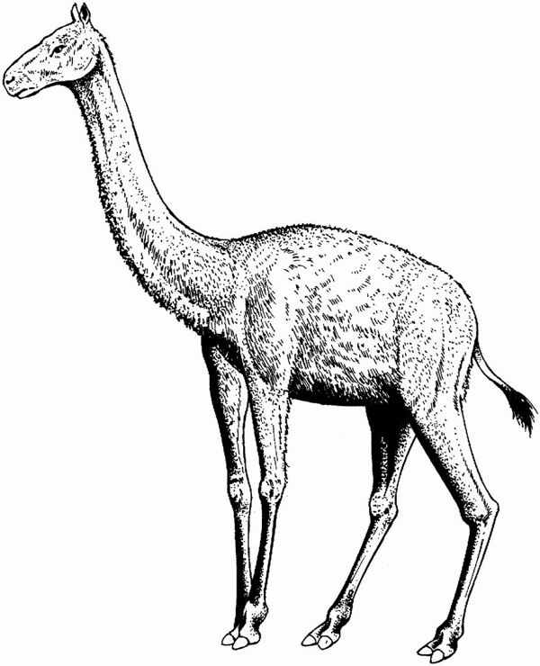 遠(yuǎn)古時代的動物恐龍手繪畫動物素描