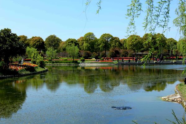 公園圖片