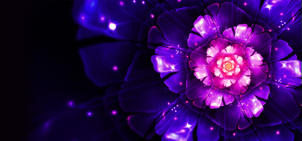 夢(mèng)幻紫色花朵淘寶全屏banner背景