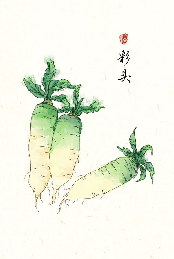 手绘蔬菜装饰画