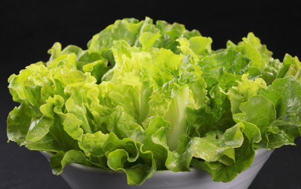 生菜圖片