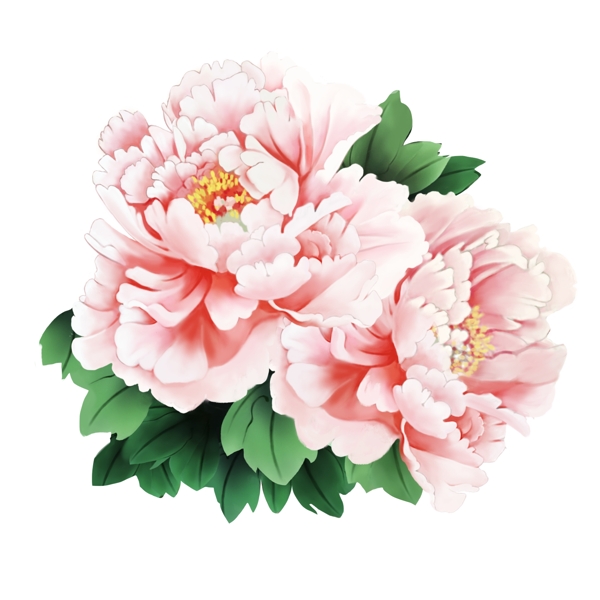 花朵