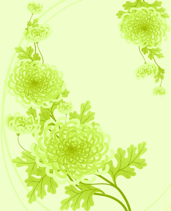 歐美花紋