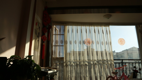 家庭