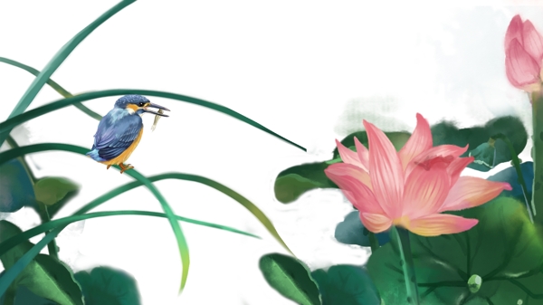 中國風(fēng)花鳥夏荷翠鳥河魚邊框橫