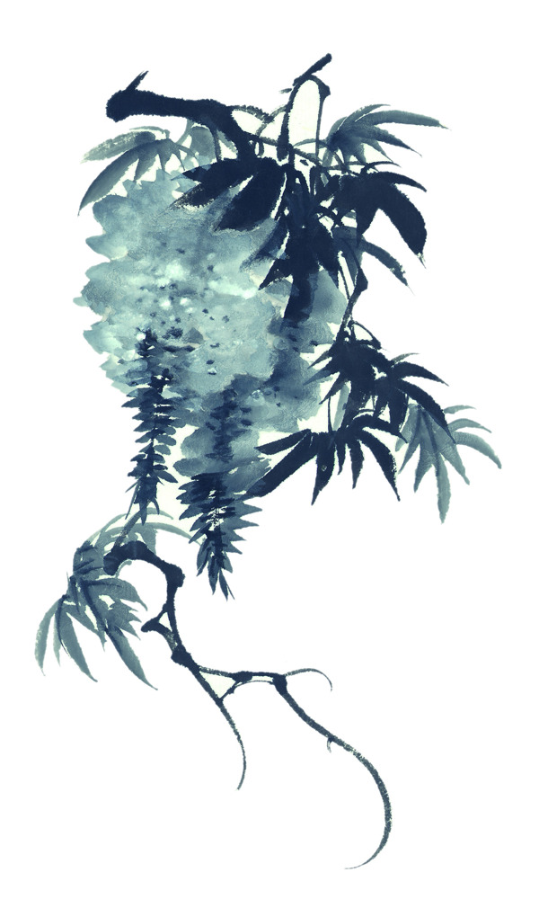 風(fēng)景水墨