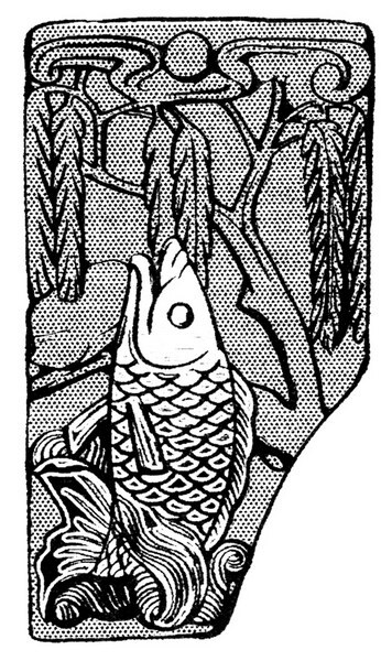 位圖動(dòng)物魚色彩黑白色免費(fèi)素材