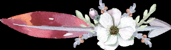 花朵箭头羽毛水彩手绘透明素材