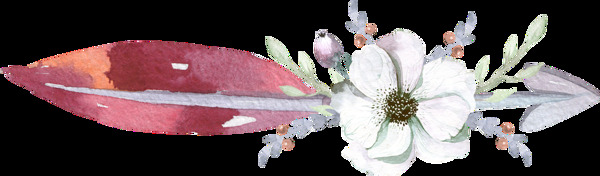 花朵箭頭羽毛水彩手繪透明素材
