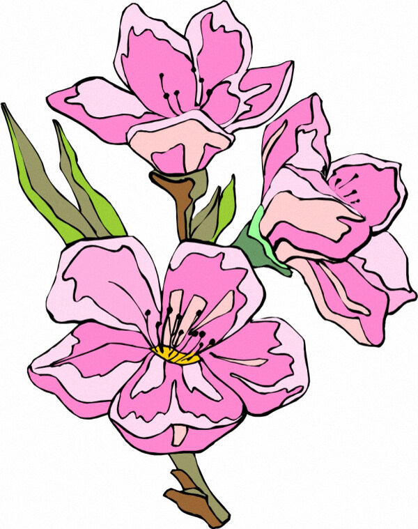 位圖時(shí)尚休閑女裝成熟優(yōu)雅女裝植物花卉免費(fèi)素材