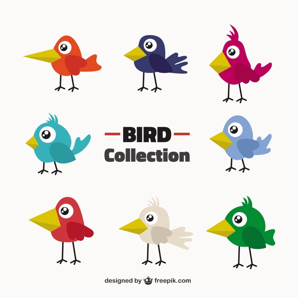 原始的鸟类收集的颜色