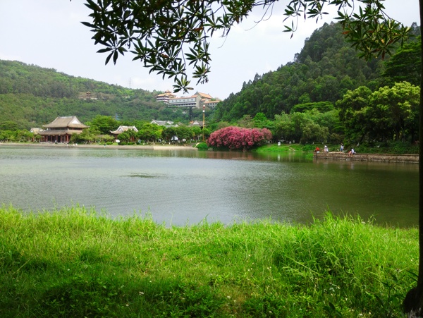 湖景圖片