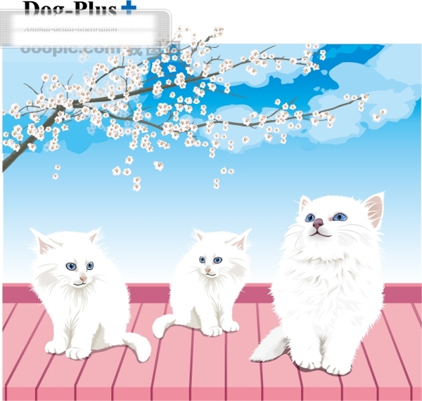 貓和梅花