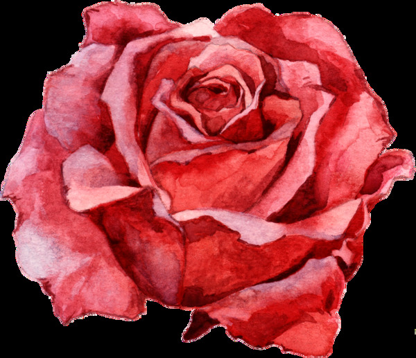 手绘漫画里的玫瑰花元素素材