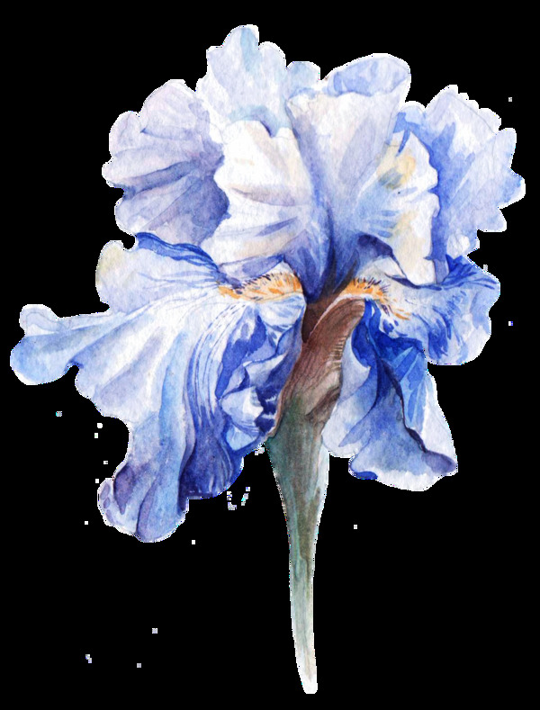淡藍(lán)花蕊卡通透明素材